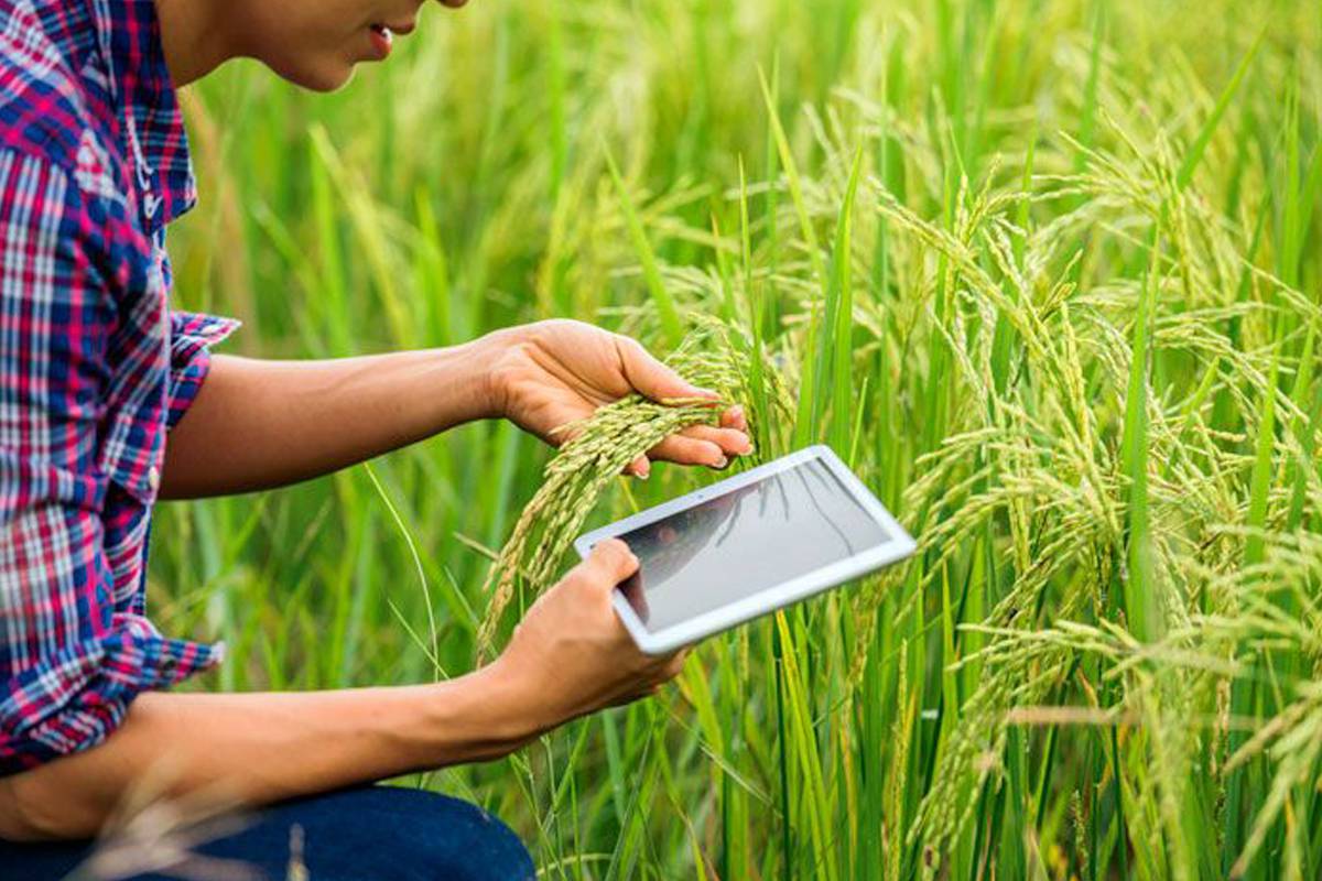 وحدة حماية البيئة